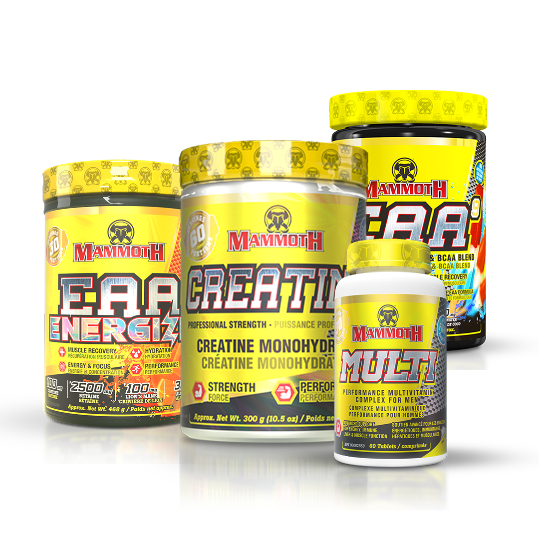 Recovery Bundle
