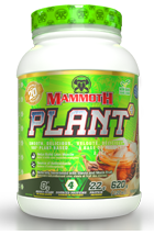 Mammoth PLANT