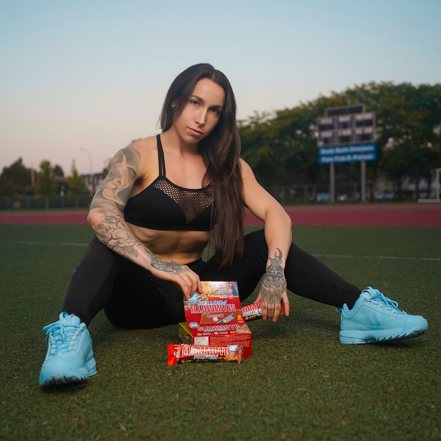 PROTEIN BARS | Box of 12