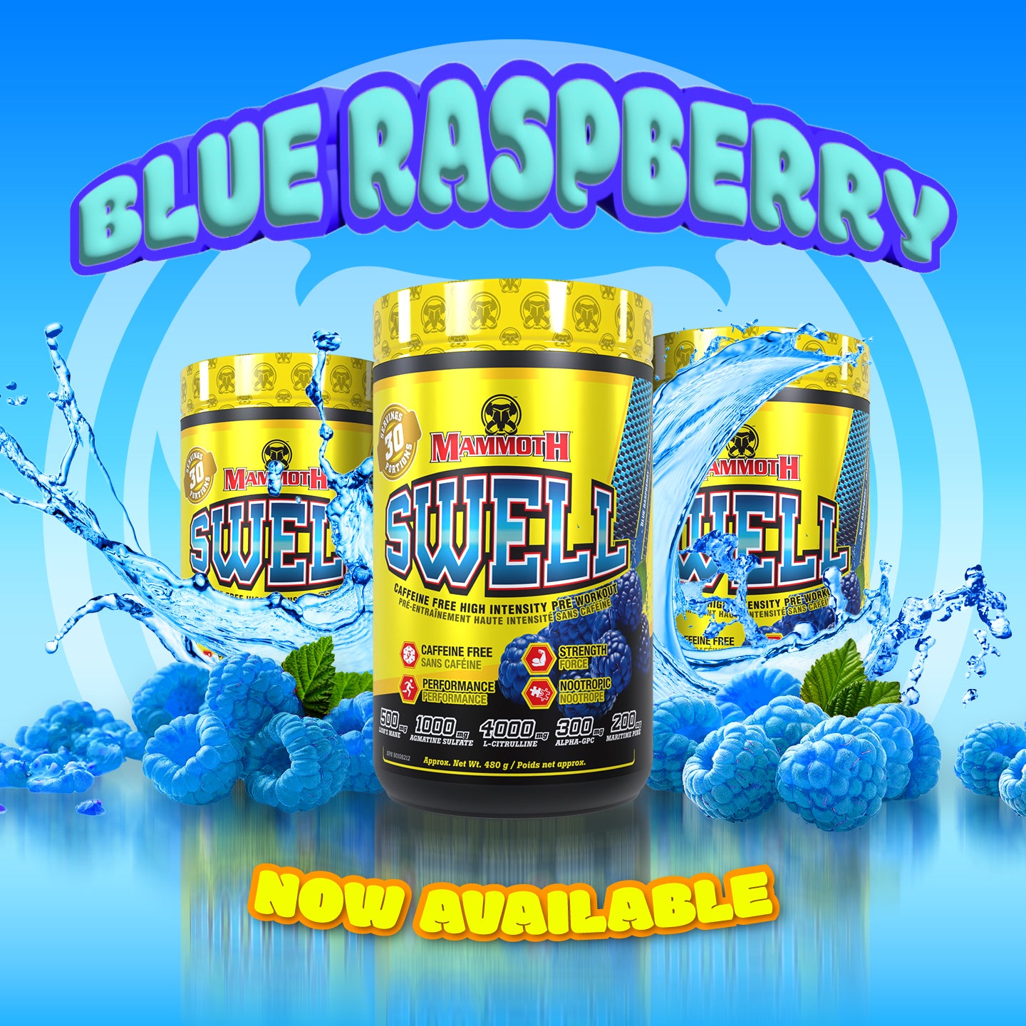 SWELL | Caffeine-Free Pre-Workout