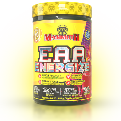 EAA ENERGIZE