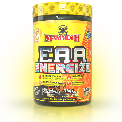 EAA ENERGIZE