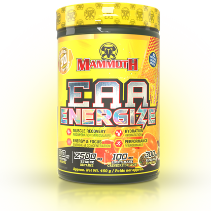 EAA ENERGIZE
