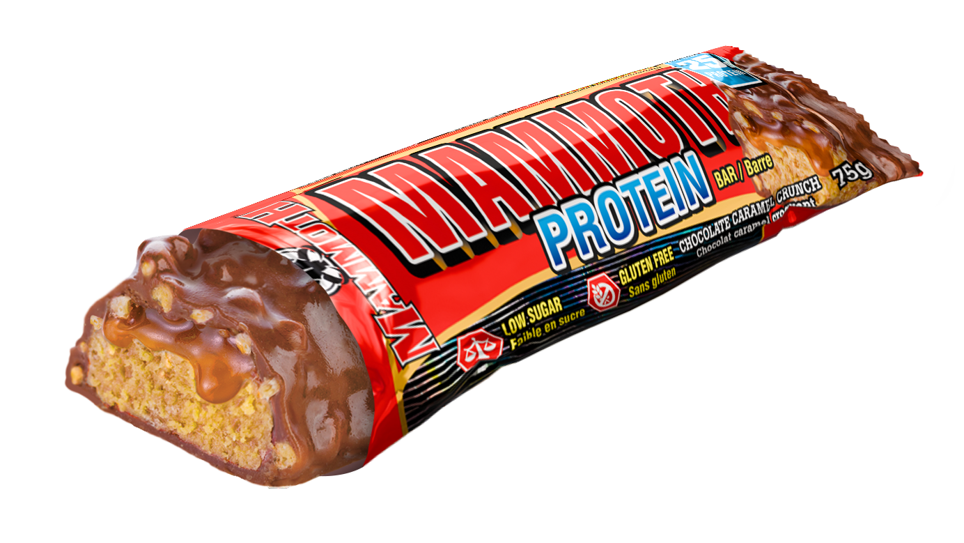 PROTEIN BAR | Single
