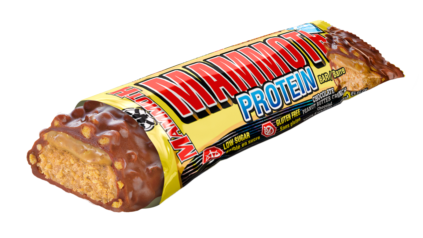 PROTEIN BAR | Single