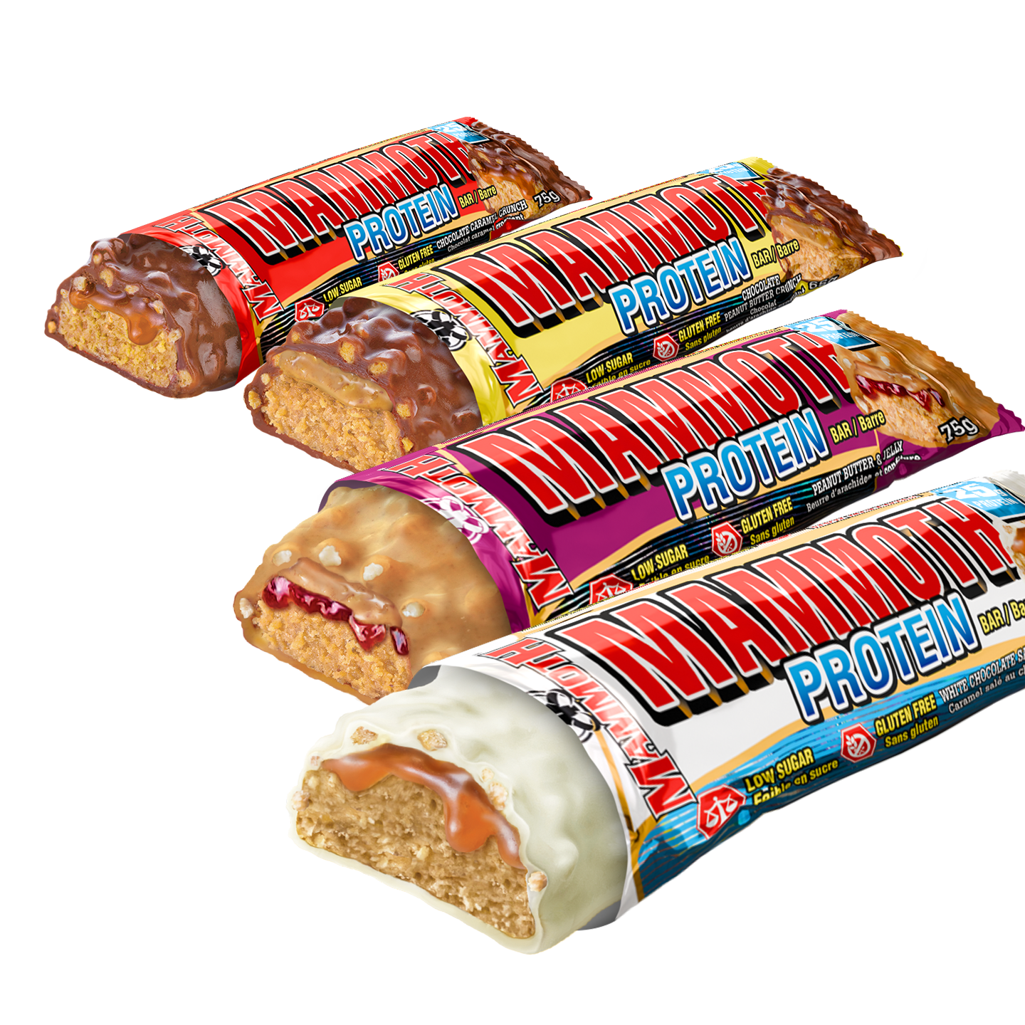 PROTEIN BAR | Single