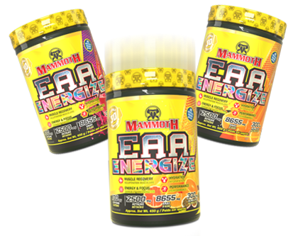 EAA ENERGIZE